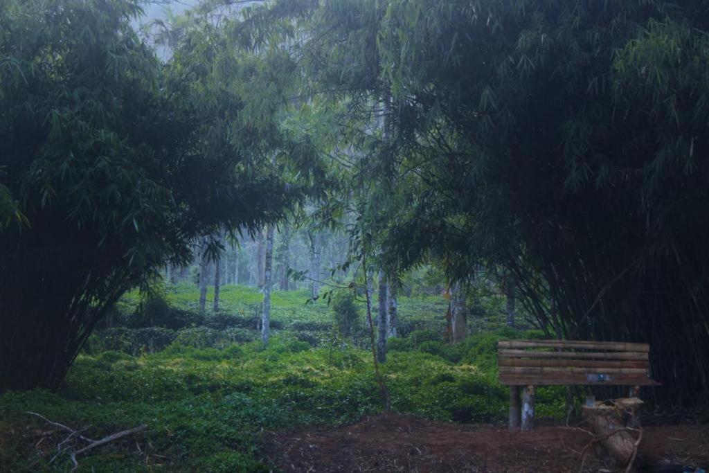 شقة Mountain Manor فيثيري المظهر الخارجي الصورة